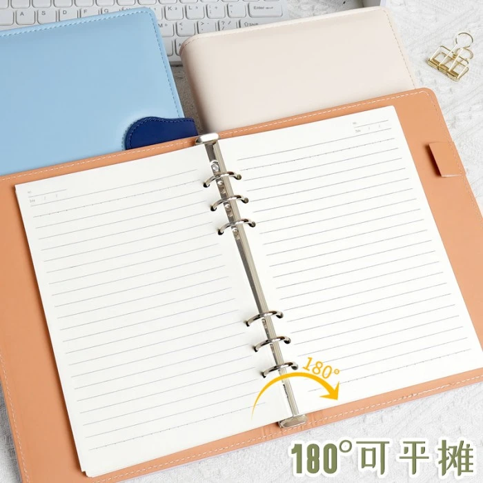 Loose Leaf Planner Paper Detail